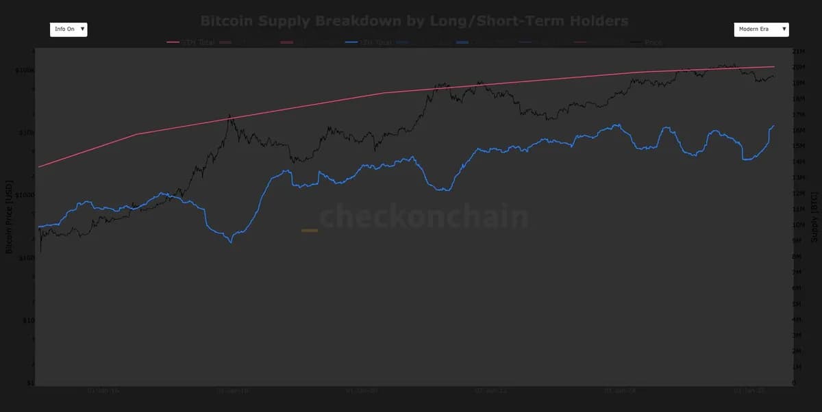 Bitcoin analysis: BTC long-term holder supply rises by more than 2 million coins