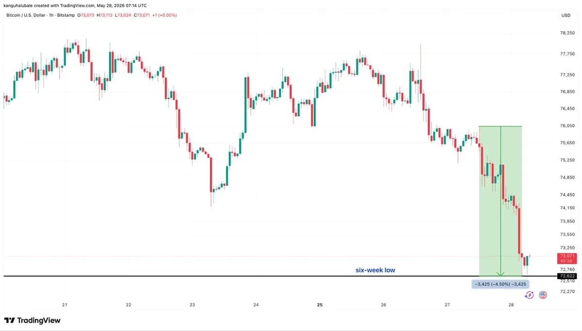 Bitcoin Slides Below $73K as $935M Liquidated, Strive Buys 490 BTC, Musk Merger Eyed