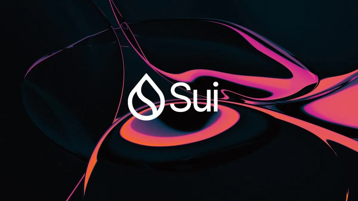 Sui blockchain experiences second 'stall' in five months
