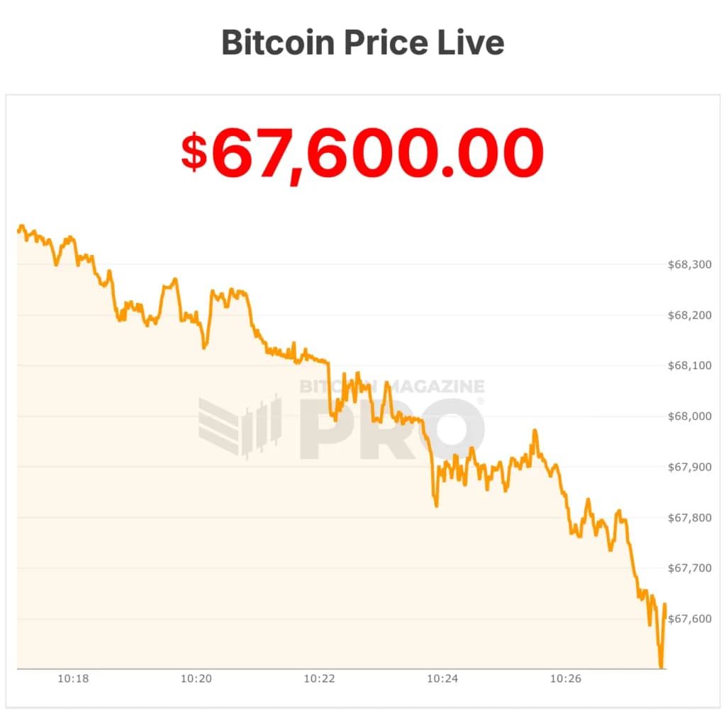 Bitcoin Price Crashes To $67,000 Range, Down 13% In A Week