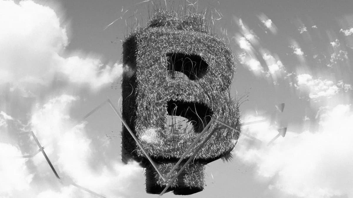 Spot bitcoin ETFs extend negative streak, following $2.4 billion monthly outflows in May