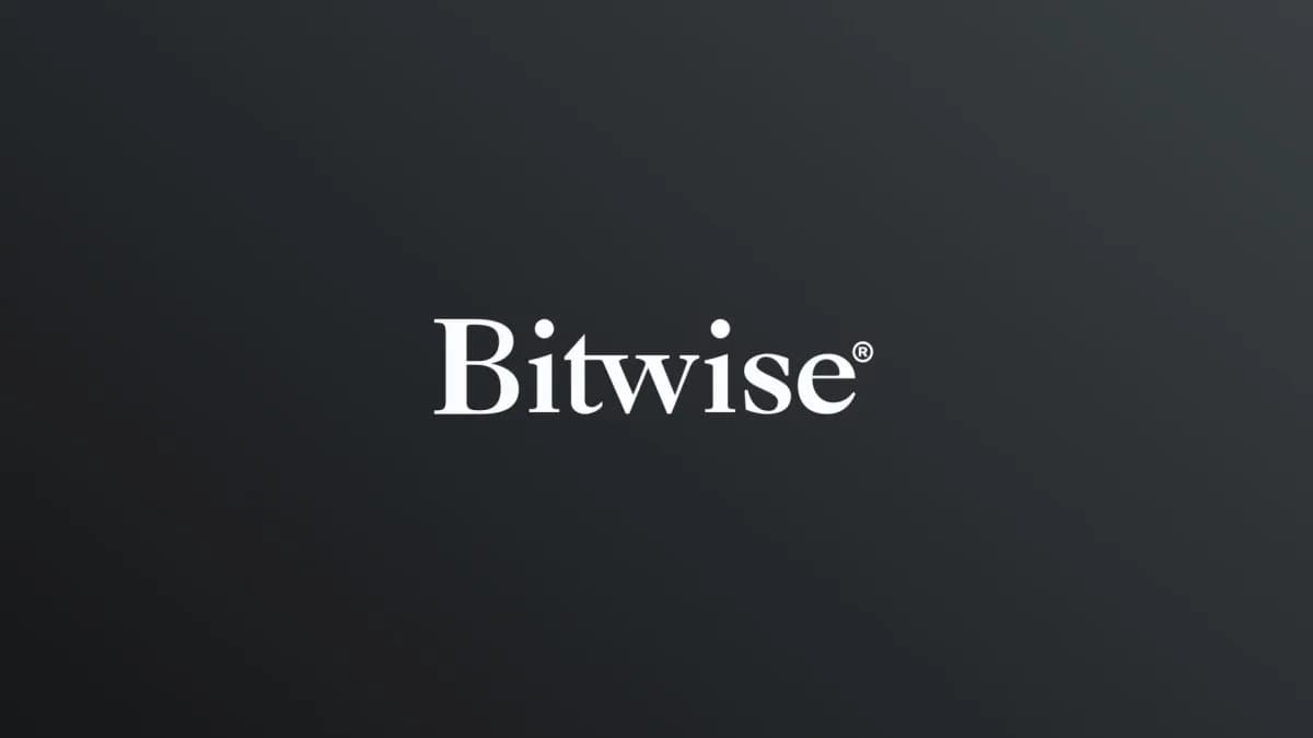 Bitwise CIO Matt Hougan calls crypto a 'contrarian bet'