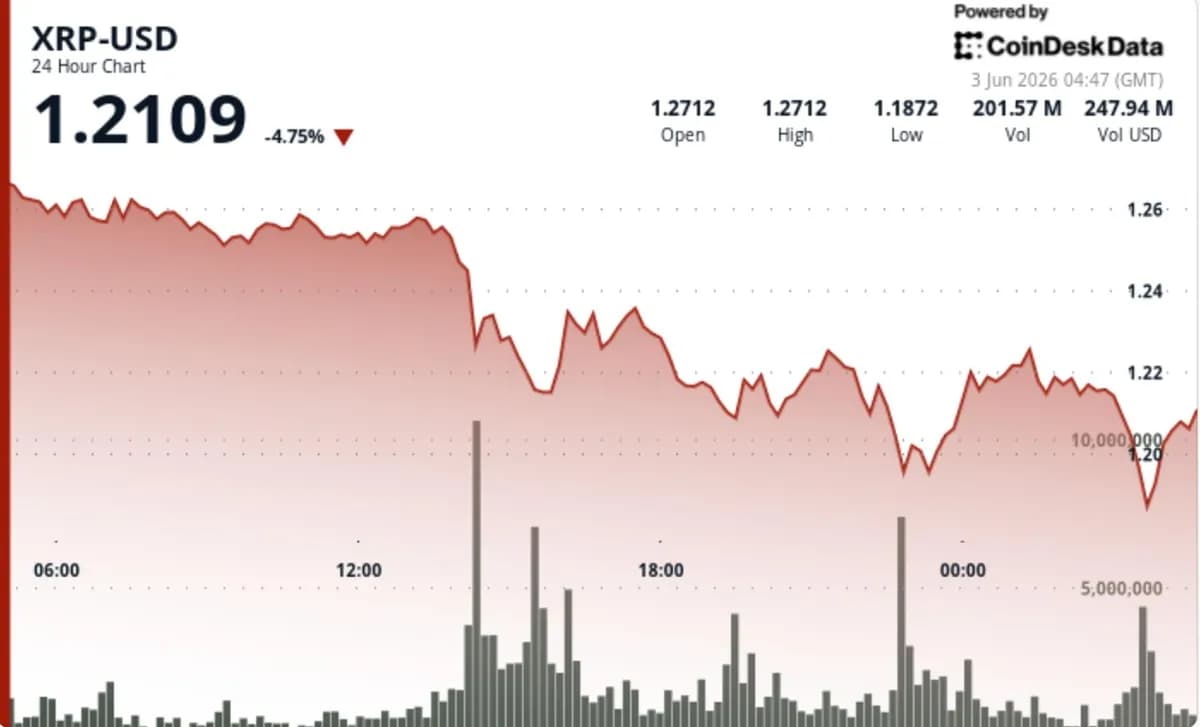 XRP price news: Ripple-linked token drops 5% even as bullish signals pile up