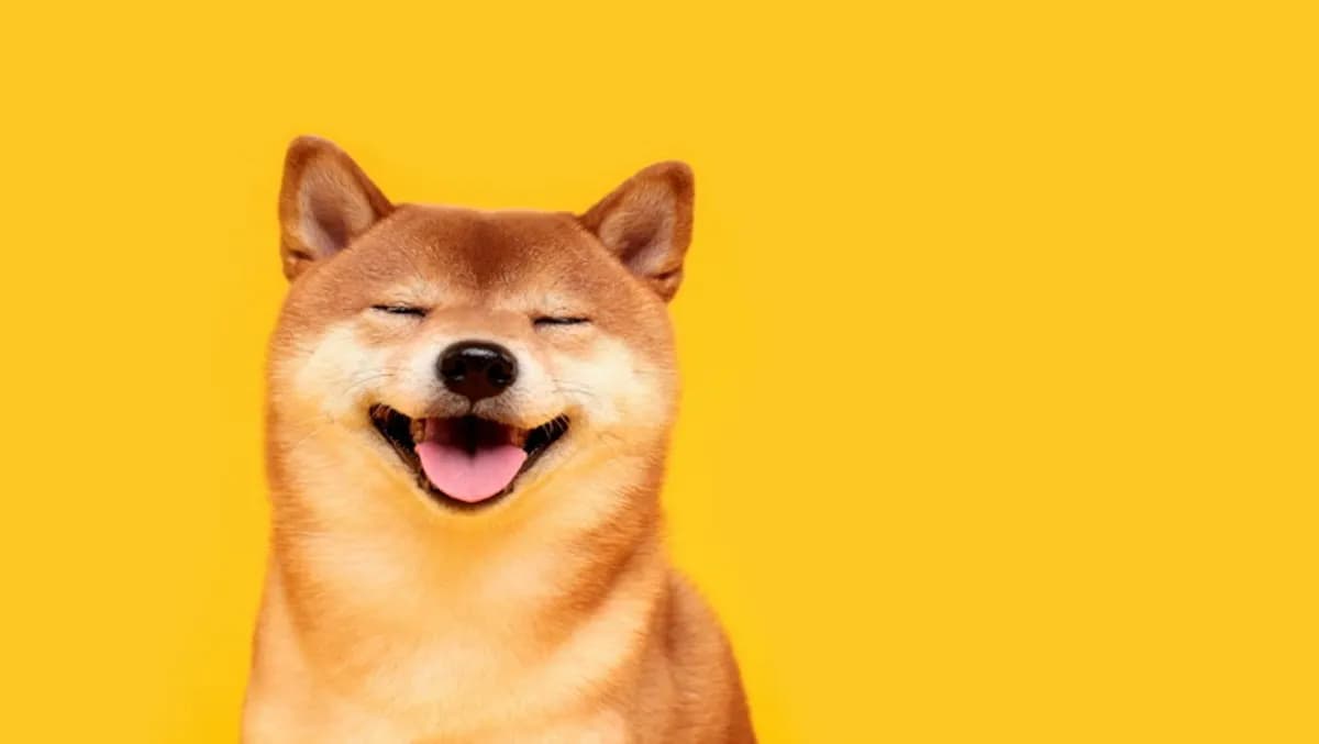DOGE, SHIB price news: Dogecoin, shiba inu dive 9% as bitcoin nears $60,000