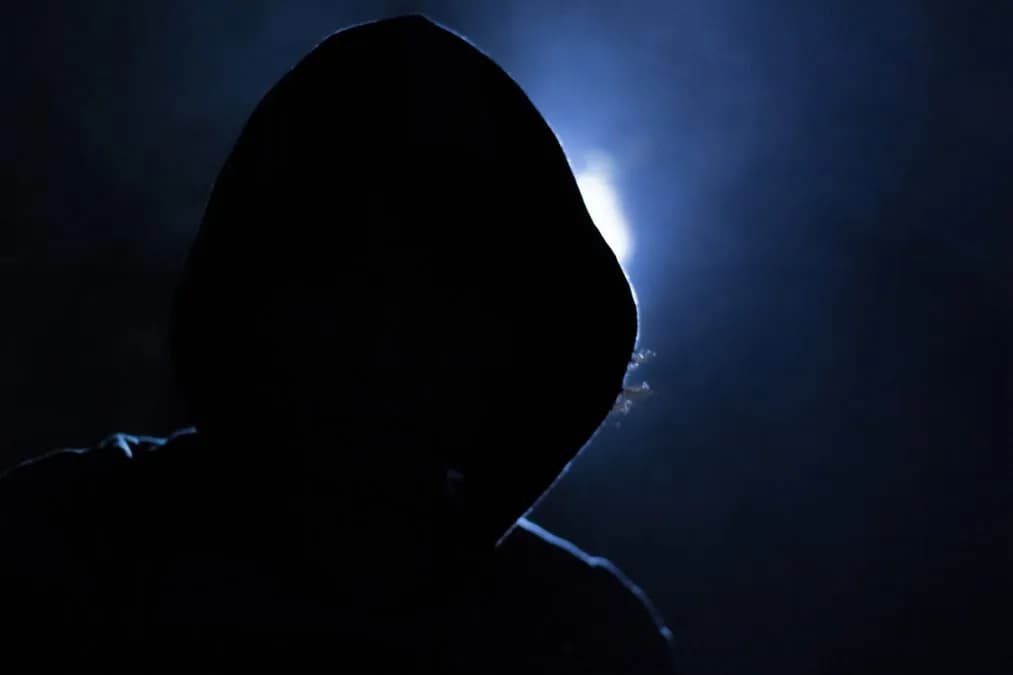 Brazen bitcoin kidnapping and carjacking co-conspirator pleads guilty, faces up to 20 years in prison: DOJ
