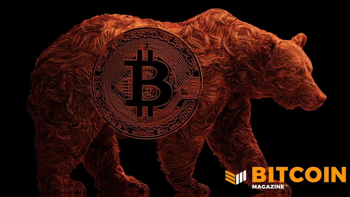 79% Of Bitcoin Supply Locked By Long-Term Holders: Analyst