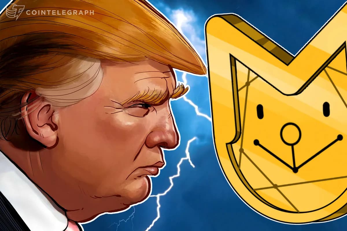 US Senator Calls for Ban on Elected Officials Issuing Memecoins