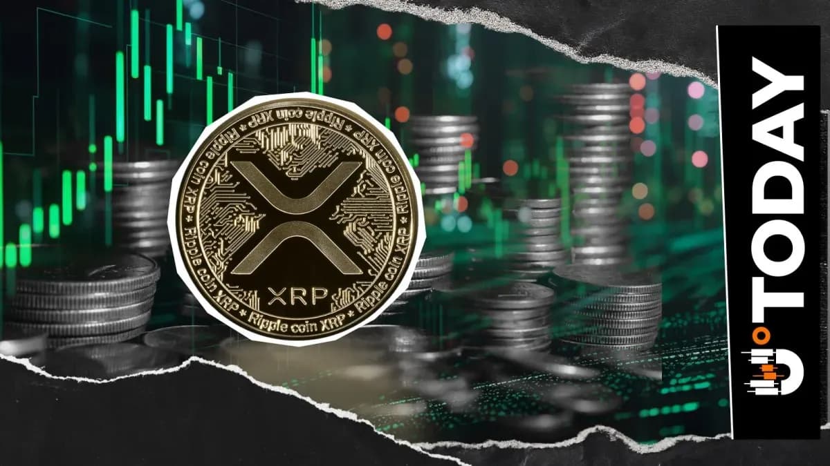 XRP Whales Go Crazy With 300 Million Tokens Scooped Up in 25% Price Surge