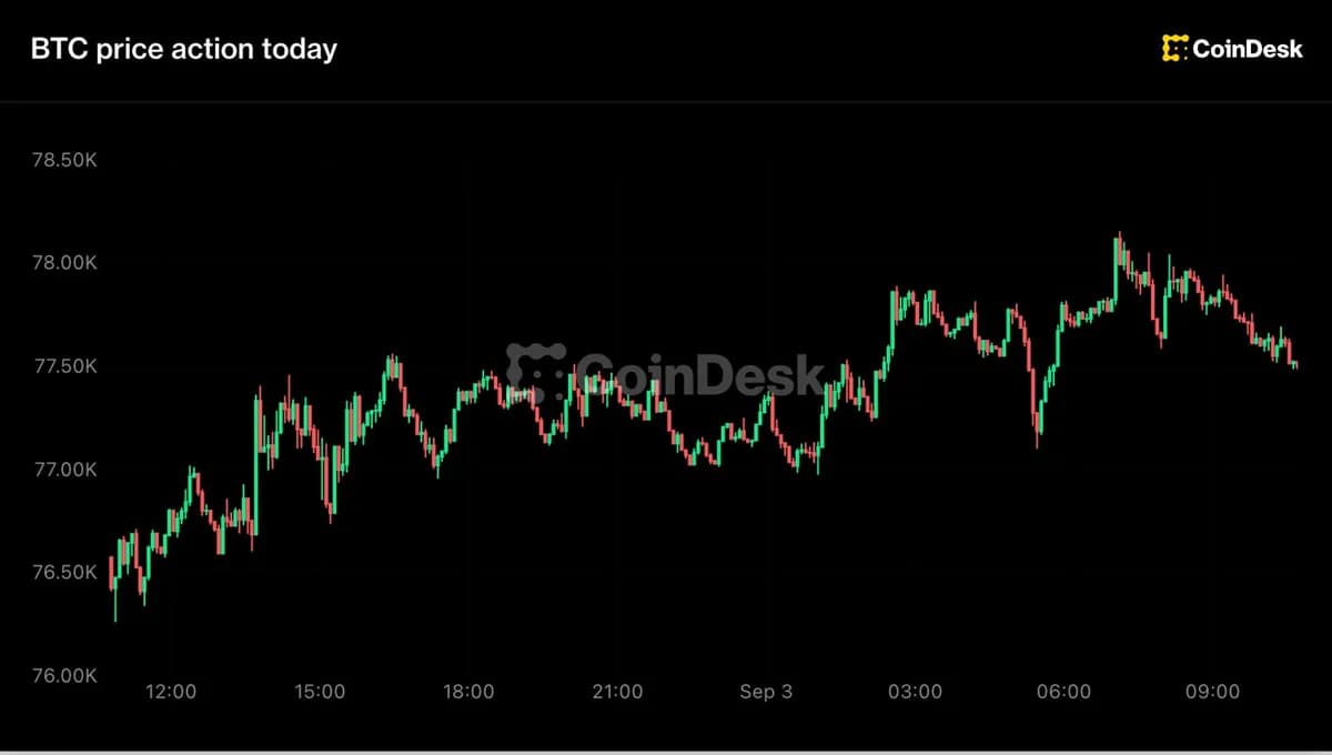 Live updates: Bitcoin back above $77,500 as investors drop their dollar protection