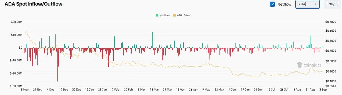 Cardano (ADA) and Sui (SUI) Flash Buy Signals: What Are Their Next Targets?