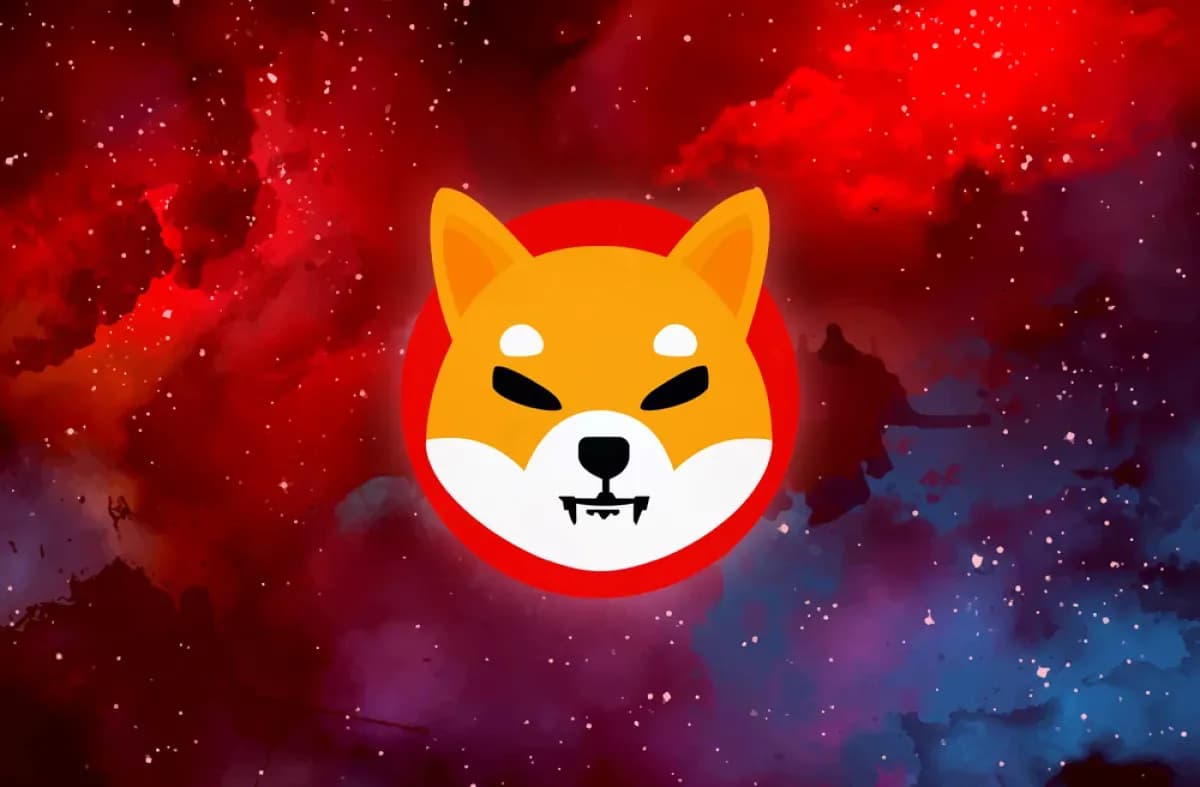 Shiba Inu (SHIB) Bullish Future Is Questioned Now