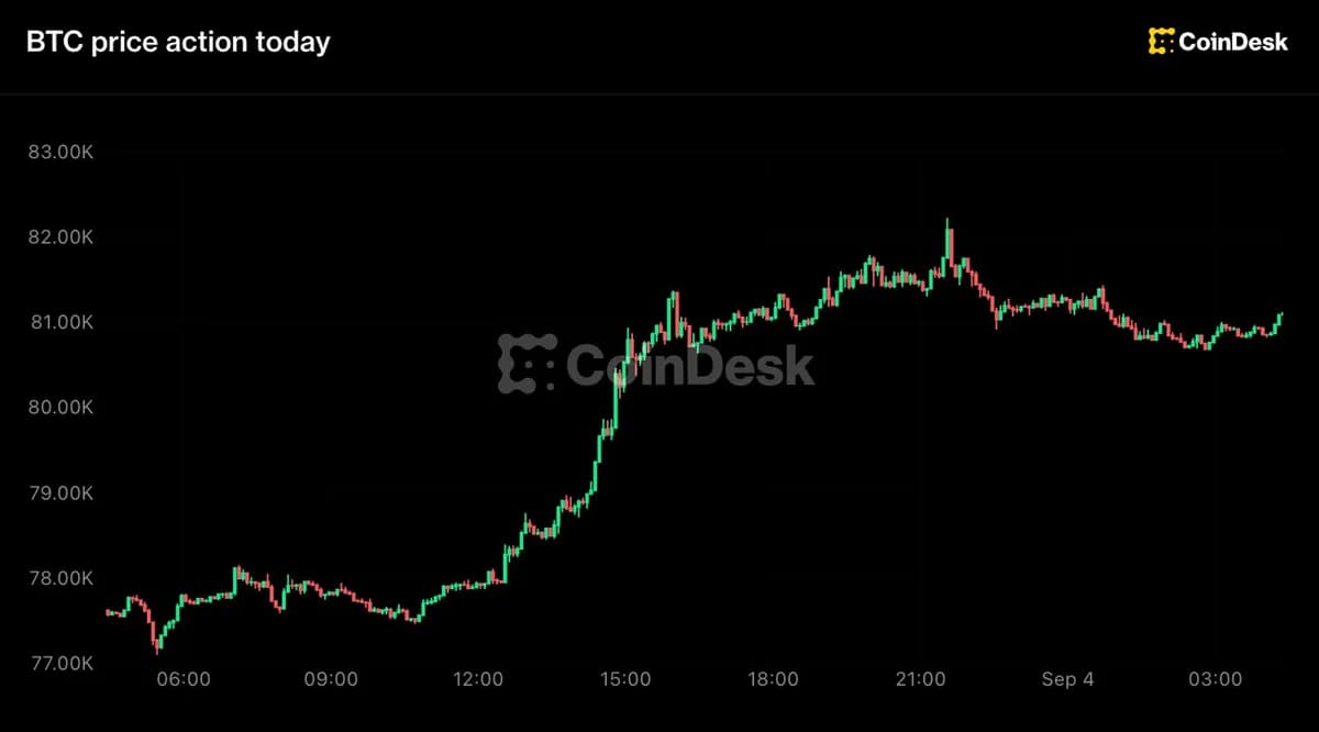 What next as Bitcoin back above $81,000 as hike odds fade, Zcash leads with 15% jump