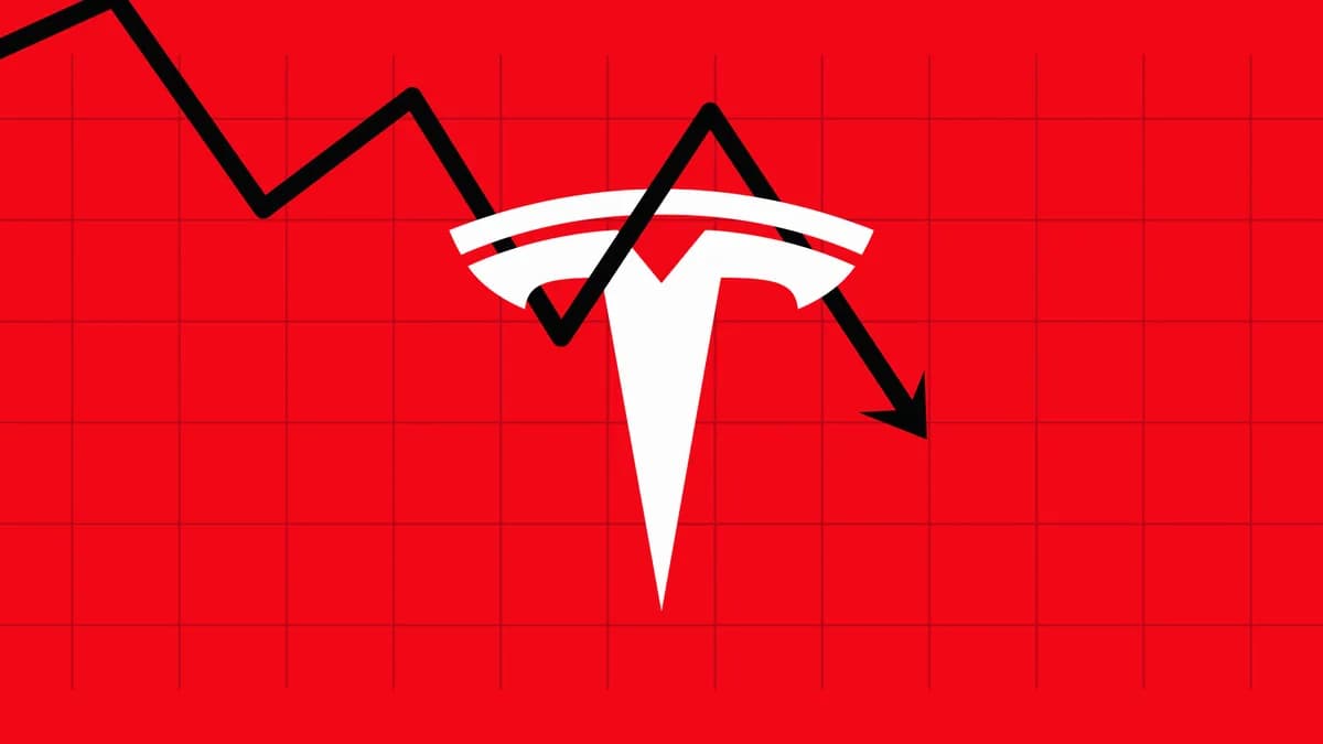 Tesla drops 6% as Cybercab faces federal audit