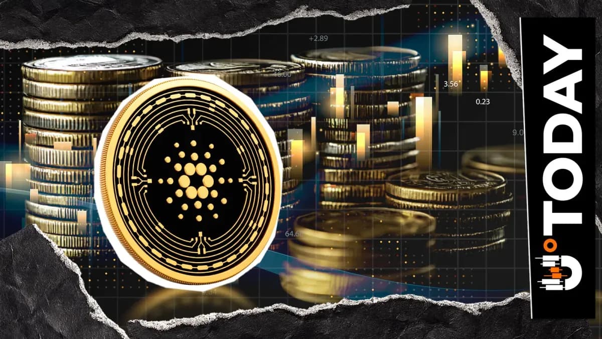 Cardano Welcomes New Native Library for Python, Go, Rust and JavaScript