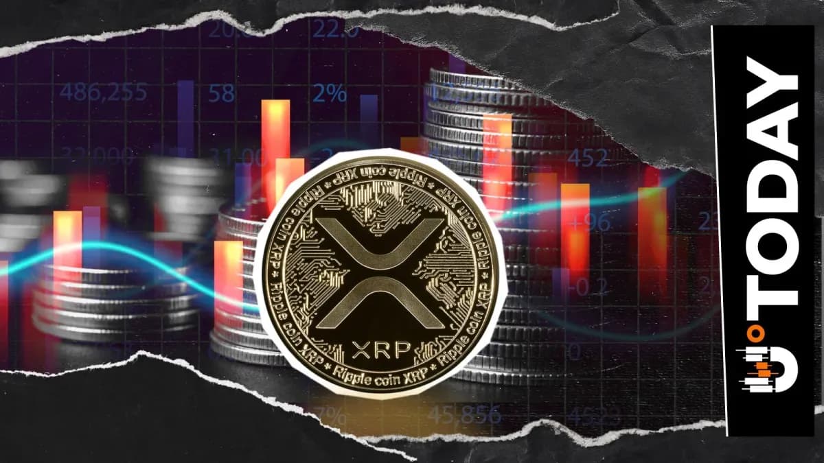 XRP Hit by 1522% Liquidation Imbalance as Bulls Taken Aback in Market Selloff