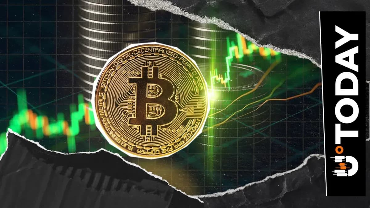Bitcoin Price to Reach $500,000 by 2028, Volatility Expert Claims
