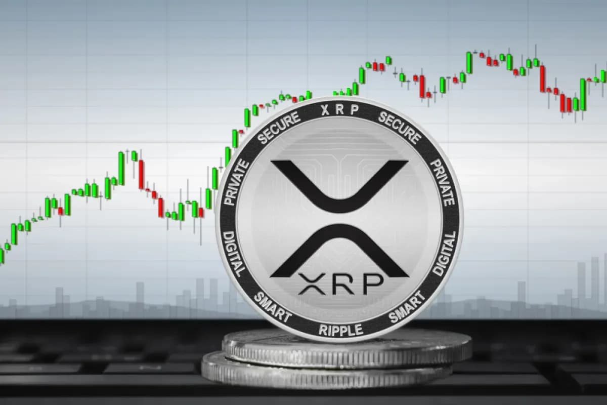 XRP Held by Whales Breaks Records: Analyzing XRP Price Effect