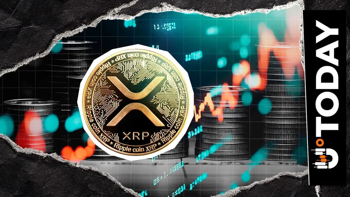 Ripple CEO Claims XRP Is Not Always the Best Answer