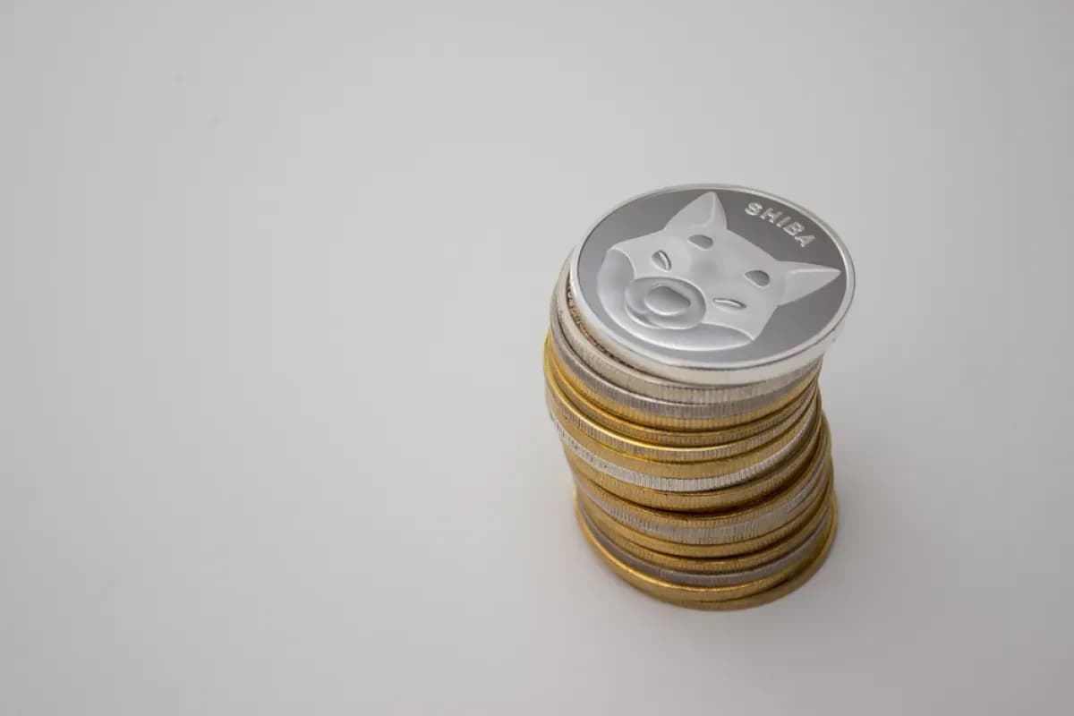Shiba Inu (SHIB) +351% in 8 Hours: Market Volatility Goes Even Higher