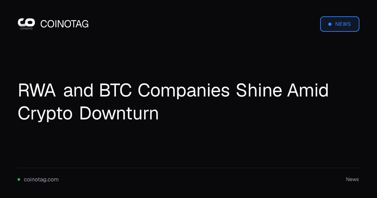RWA and BTC Companies Shine Amid Crypto Downturn