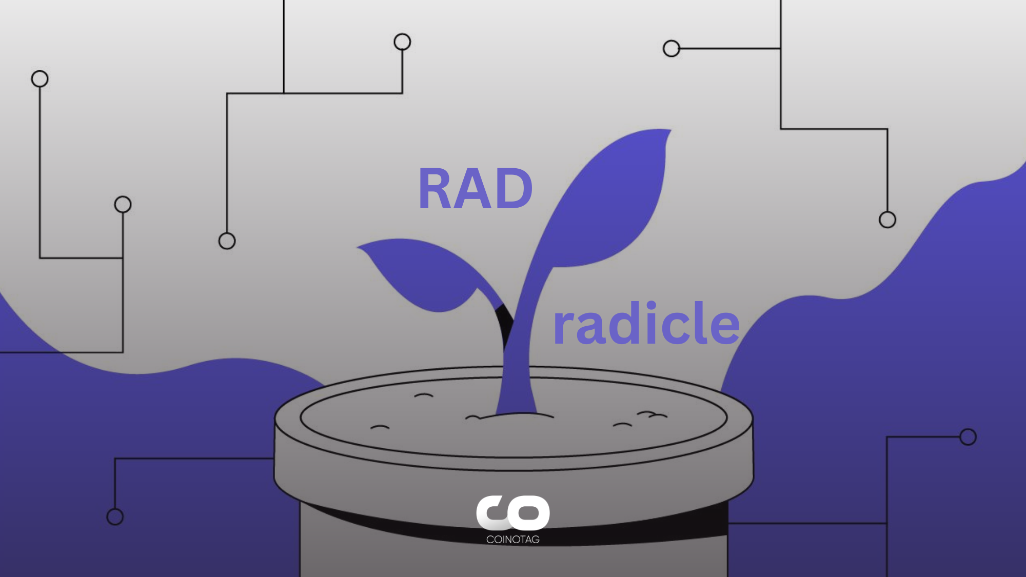 how to buy radicle crypto