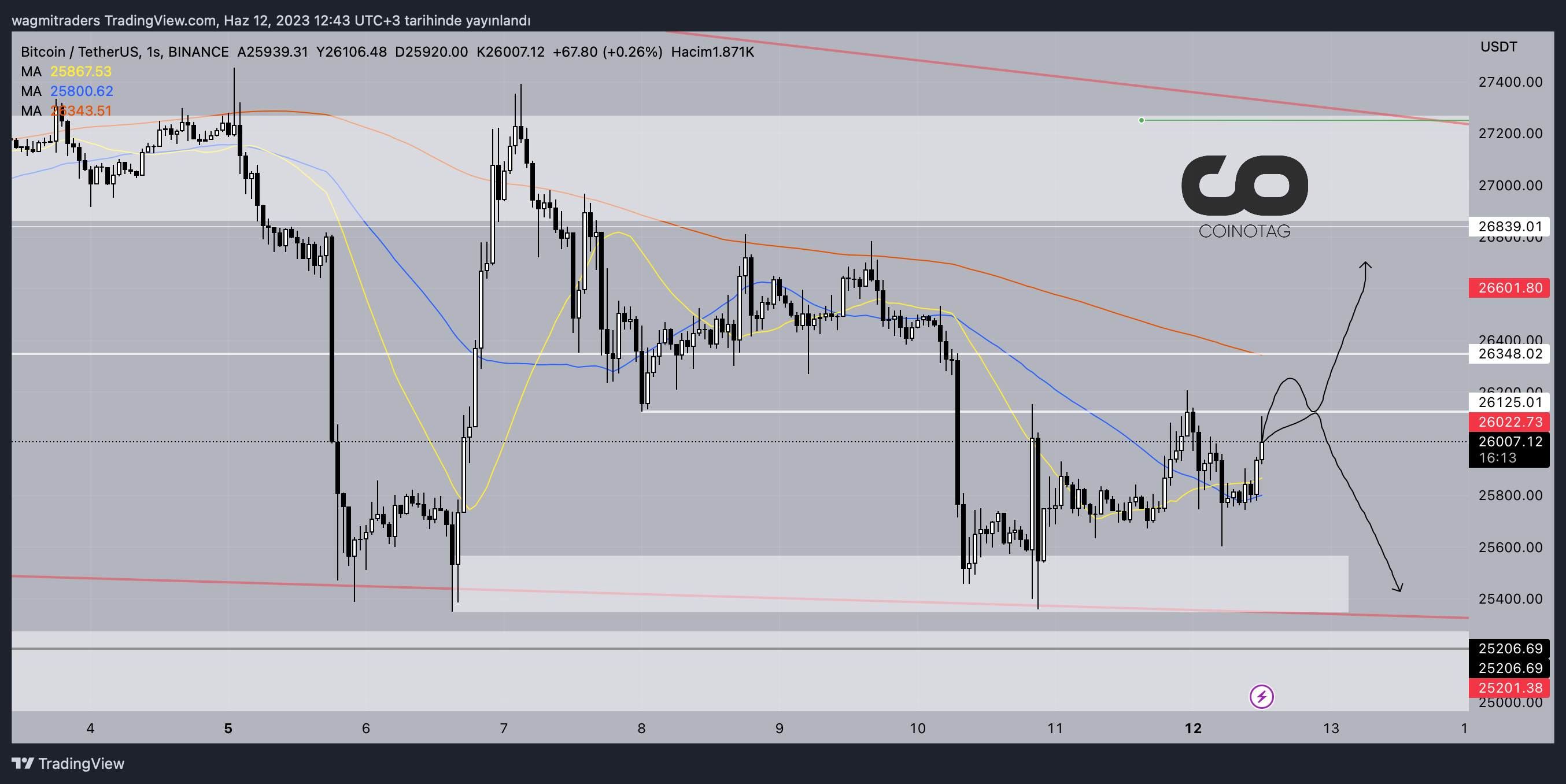 1 Hour BTC/USD Price Chart