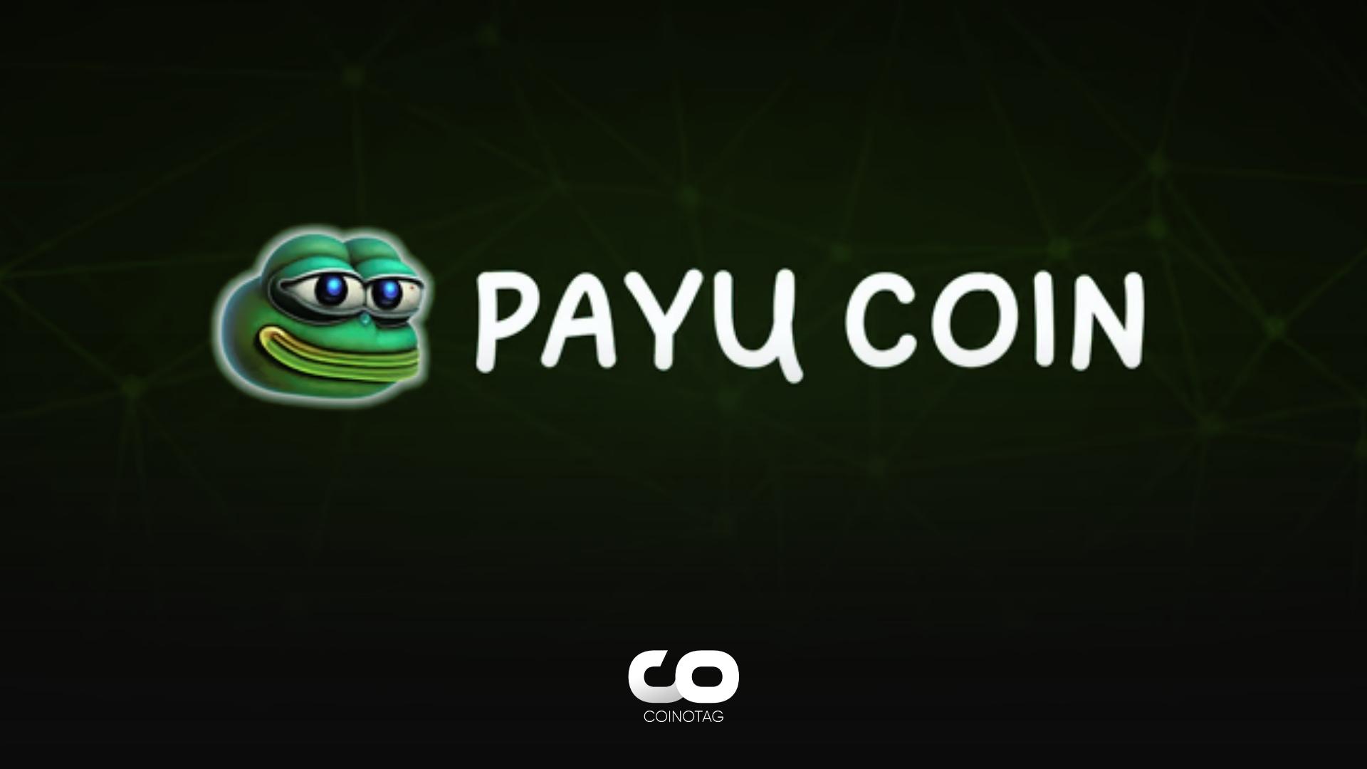 What-is-Platform-of-meme-coins-PAYU