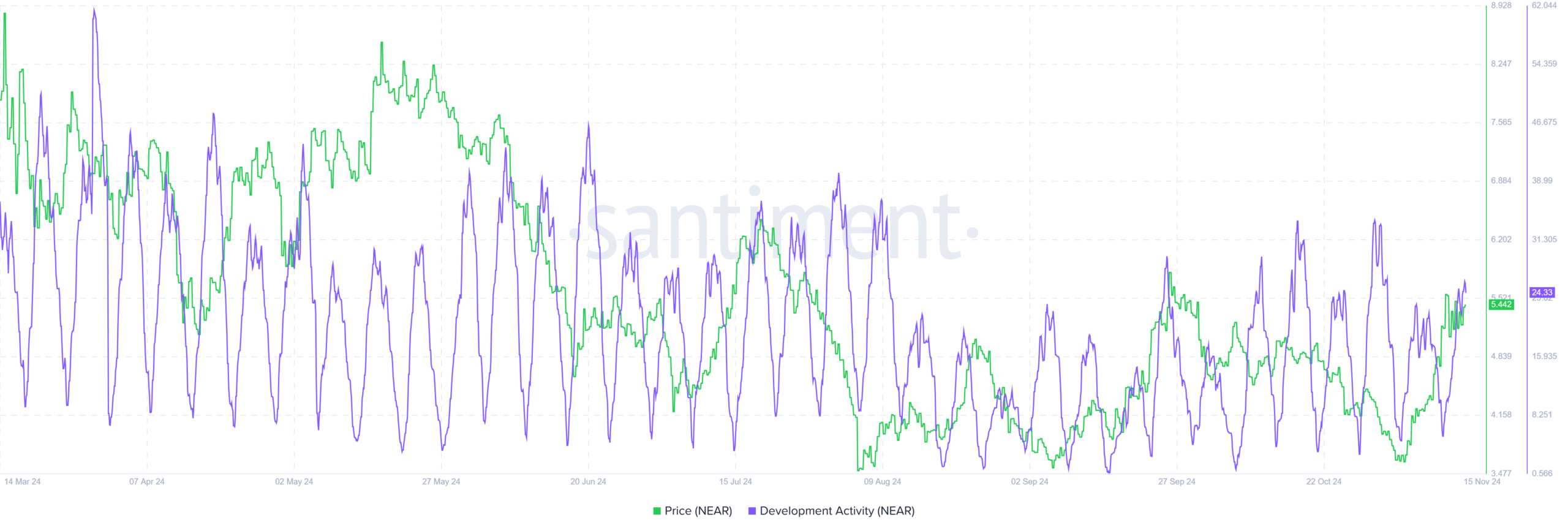 NEAR Development Activity