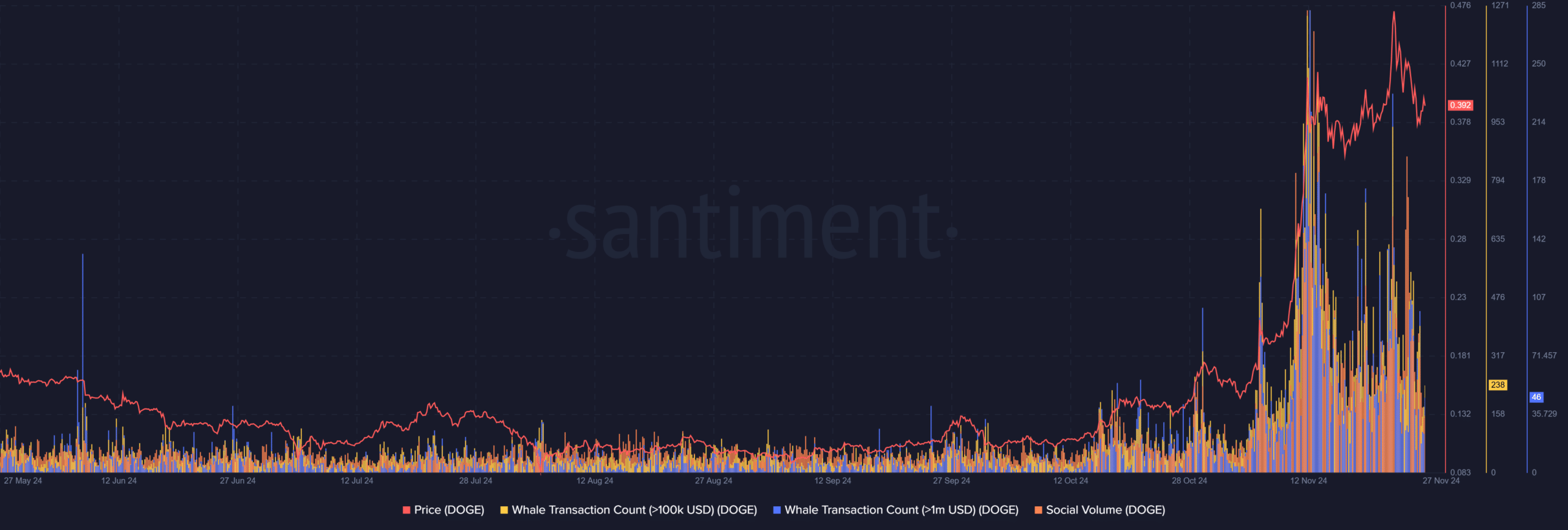 Bitcoin Market Dynamics