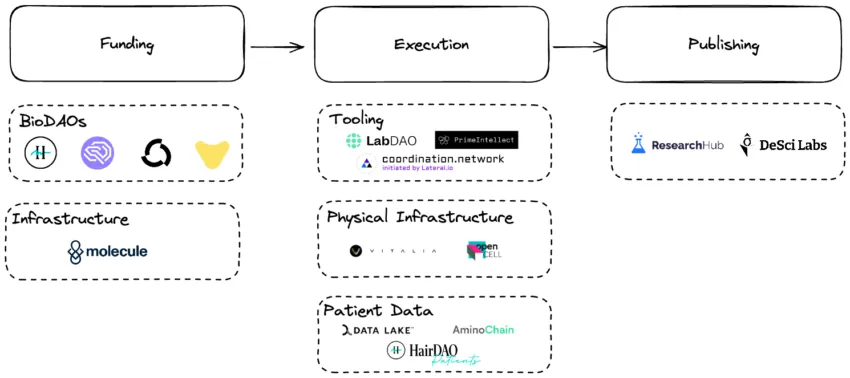 The DeSci value chain (2024)