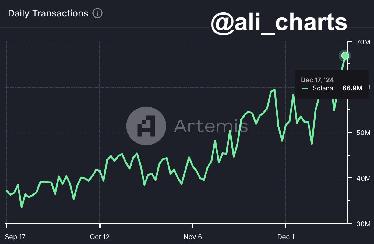 ソラナの取引活動の急増