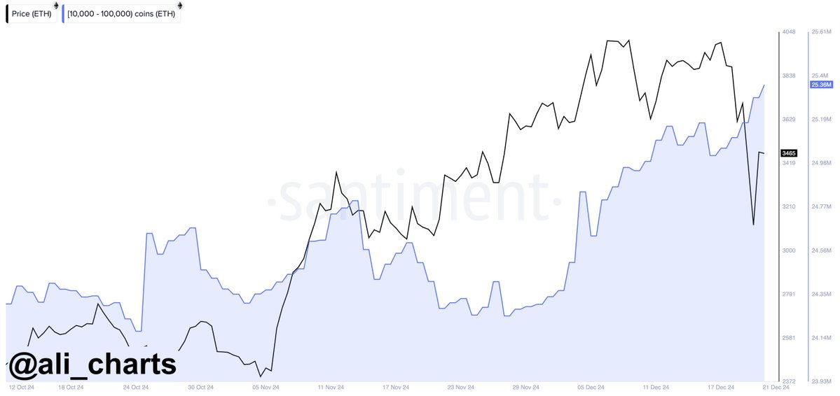 Ethereum Whale Activity