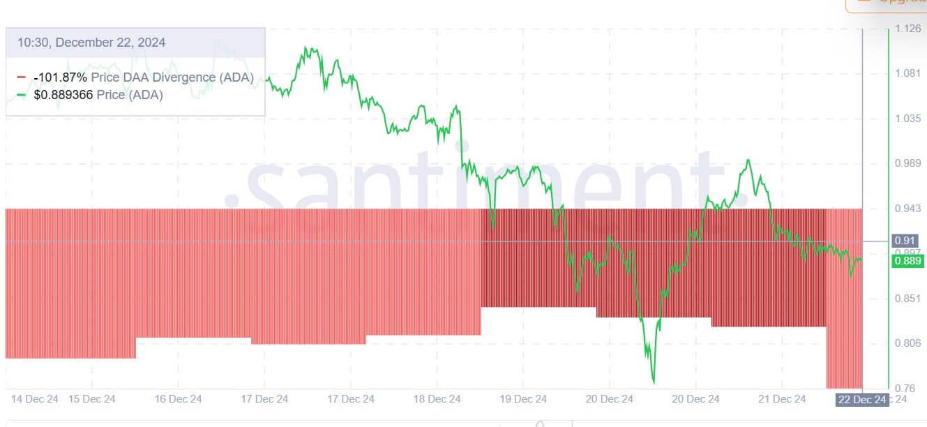 Cardano On-Chain Data Analysis