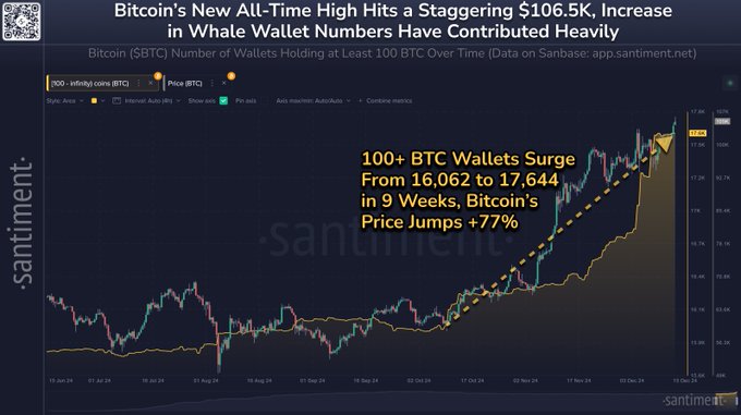 Bitcoin duygu analizi