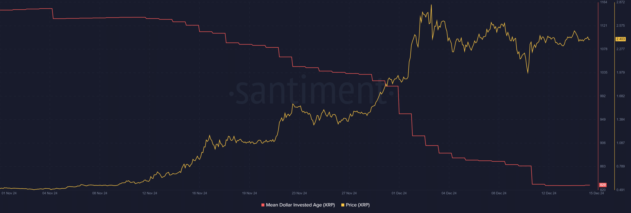 XRP aktivite grafiği