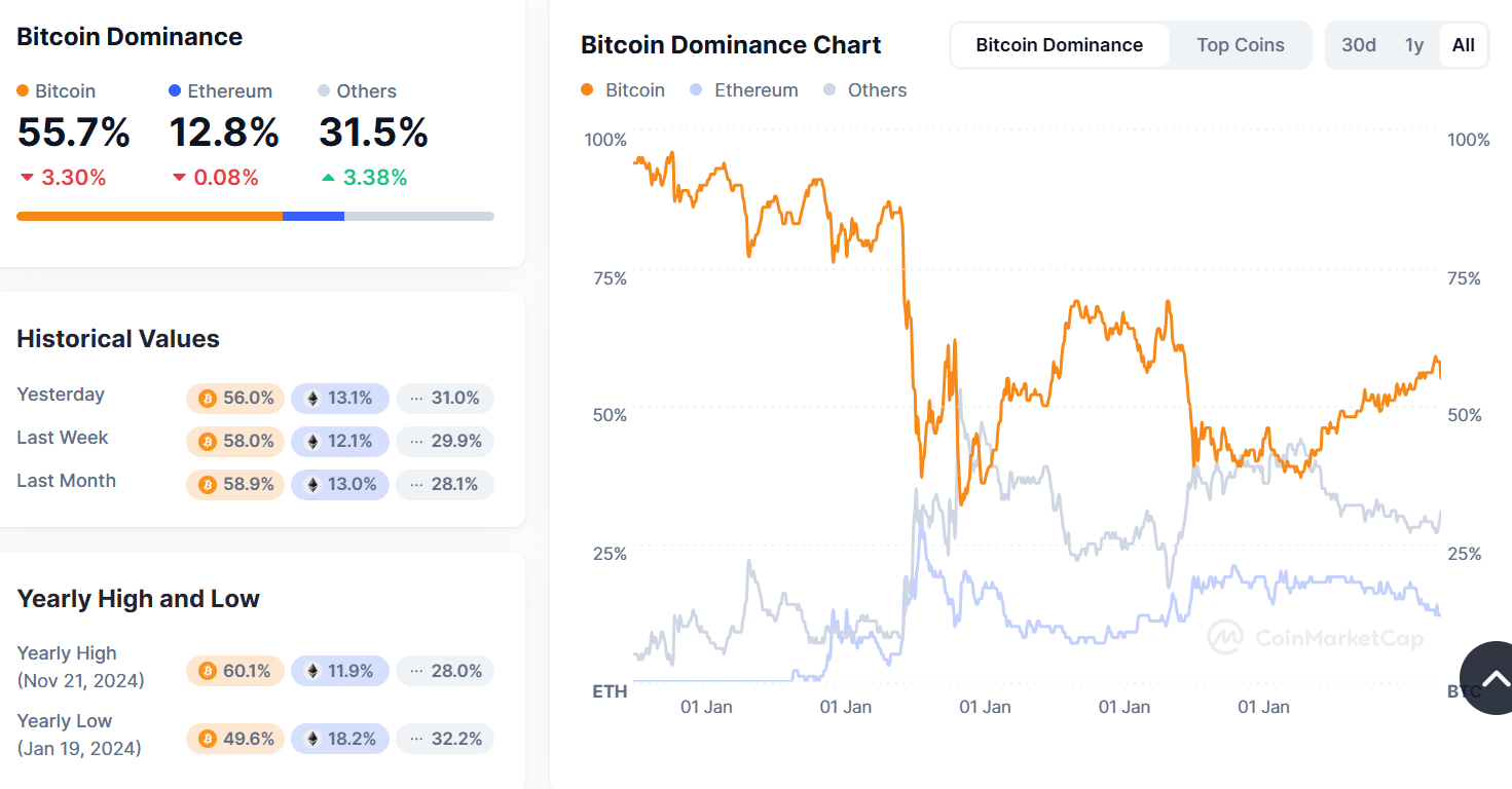 Bitcoin piyasa hâkimiyeti