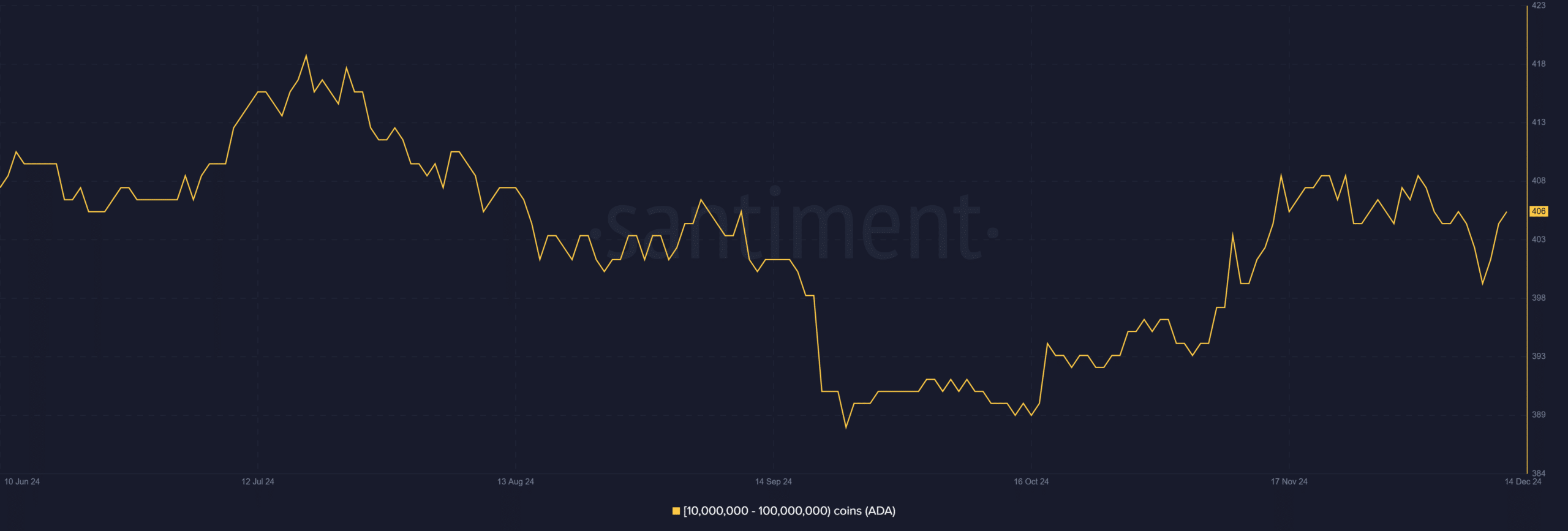 Cardano whale accumulation trend