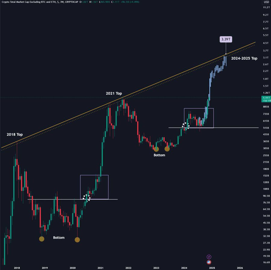 Altcoin Market Growth Chart