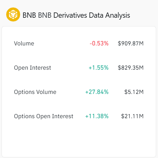 BNB türev verileri genel görünümü