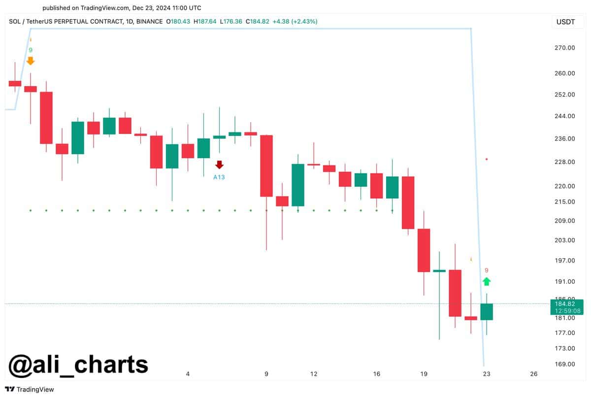 Solana TD Sequential Chart