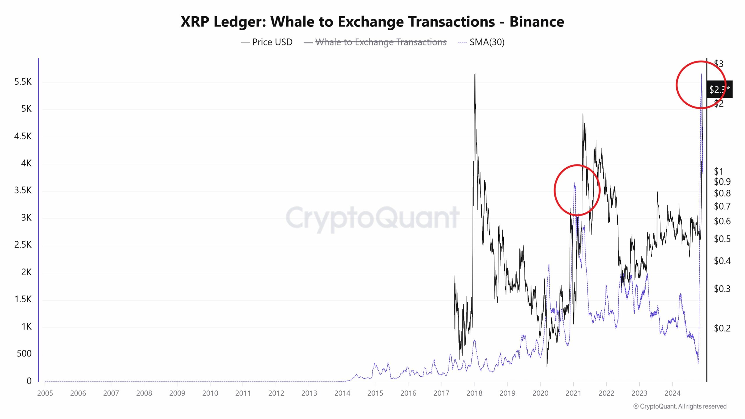 XRP Balina İşlemleri Analizi