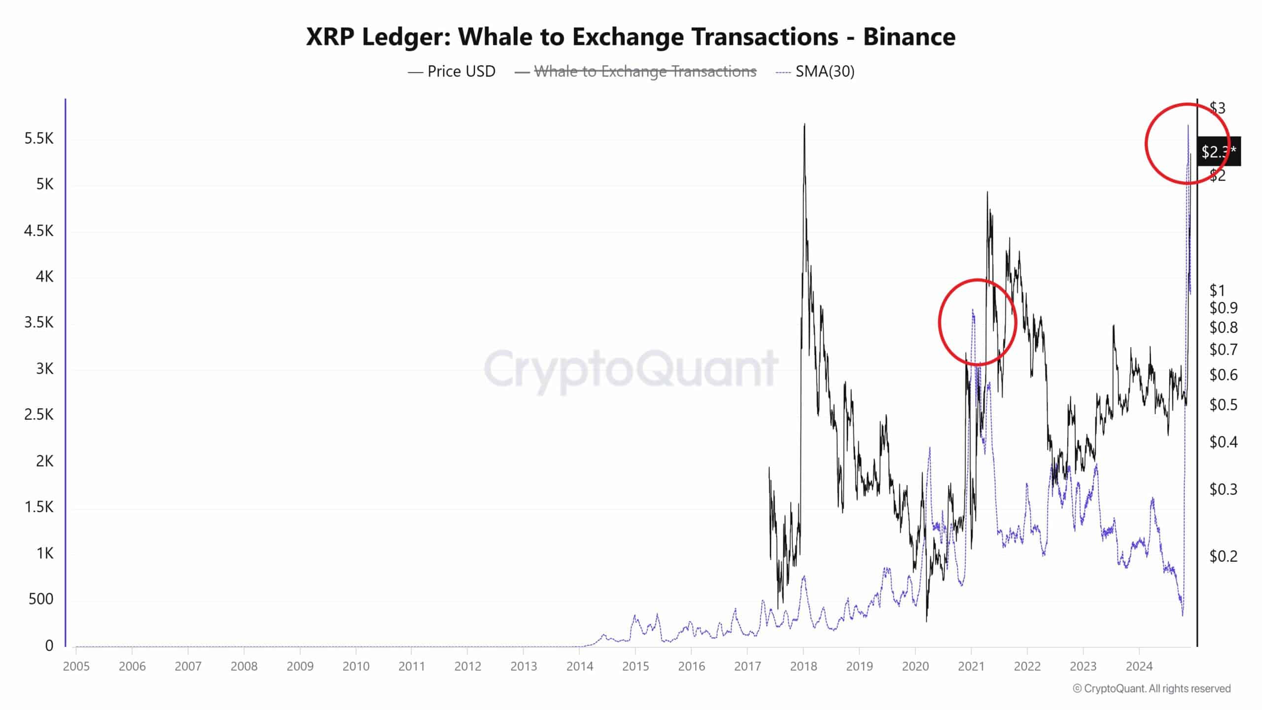 XRP Büyük Yatırımcı İşlemleri