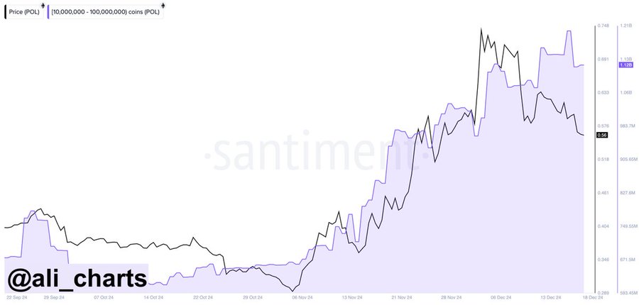 Polygon Whales Sell-Off