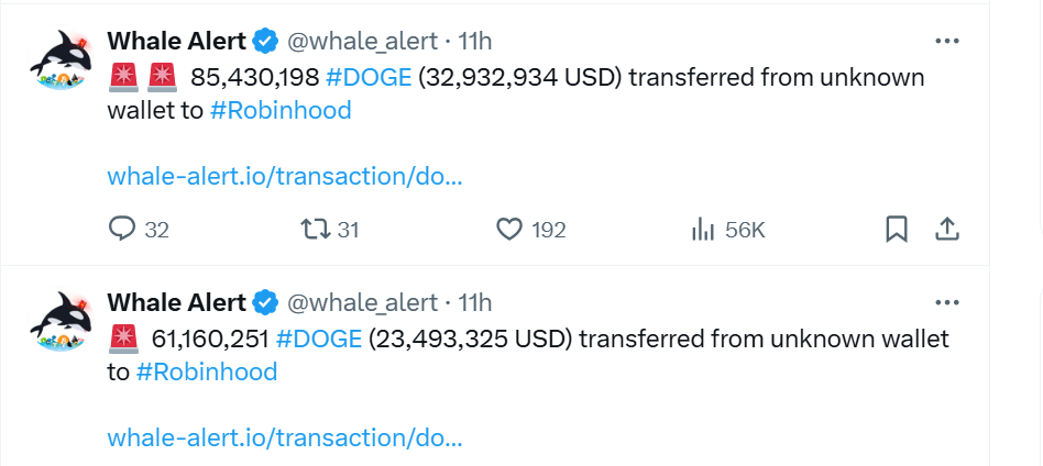 Whale Alert - Dogecoin İşlemleri