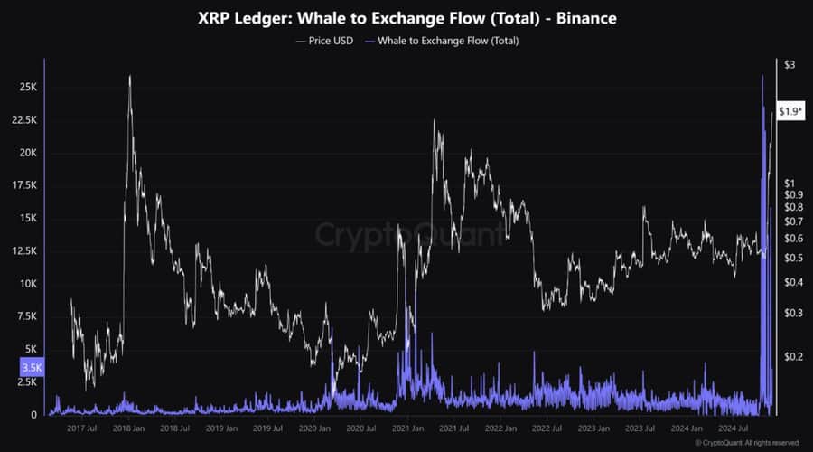 XRPクジラ活動チャート