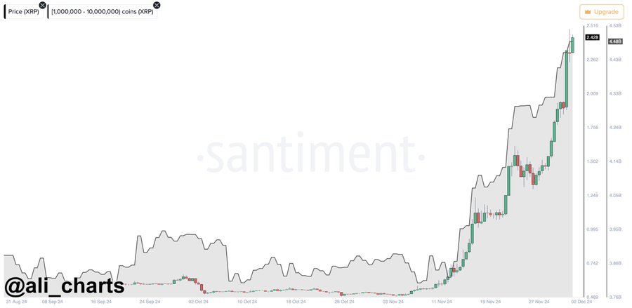 XRPクジラ購入