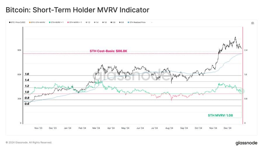 Bitcoin short-term holder profits visualization