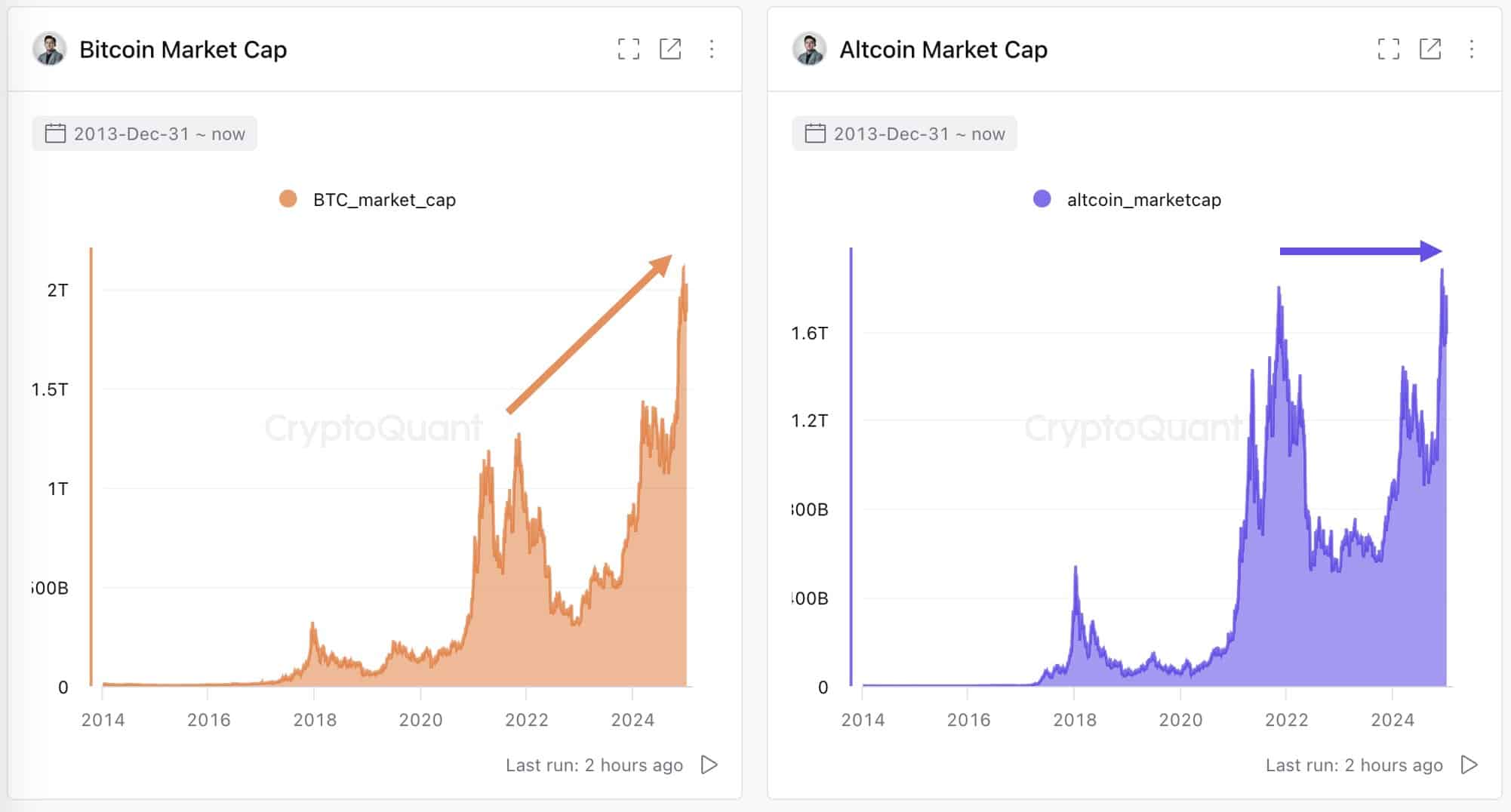 Altcoin Market Capitalization Chart