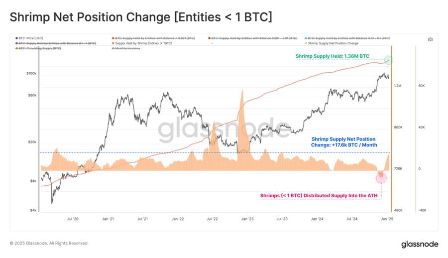 Bitcoin accumulation by shrimps