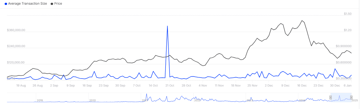 FTM holders sentiment analysis